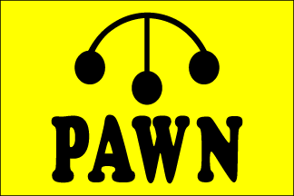 Pawn Shop Flag