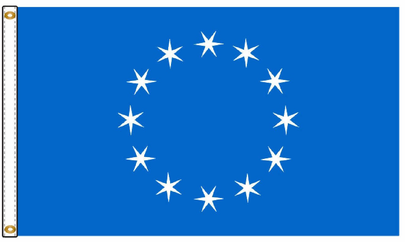 Commander In Chief Flag 12 Star
